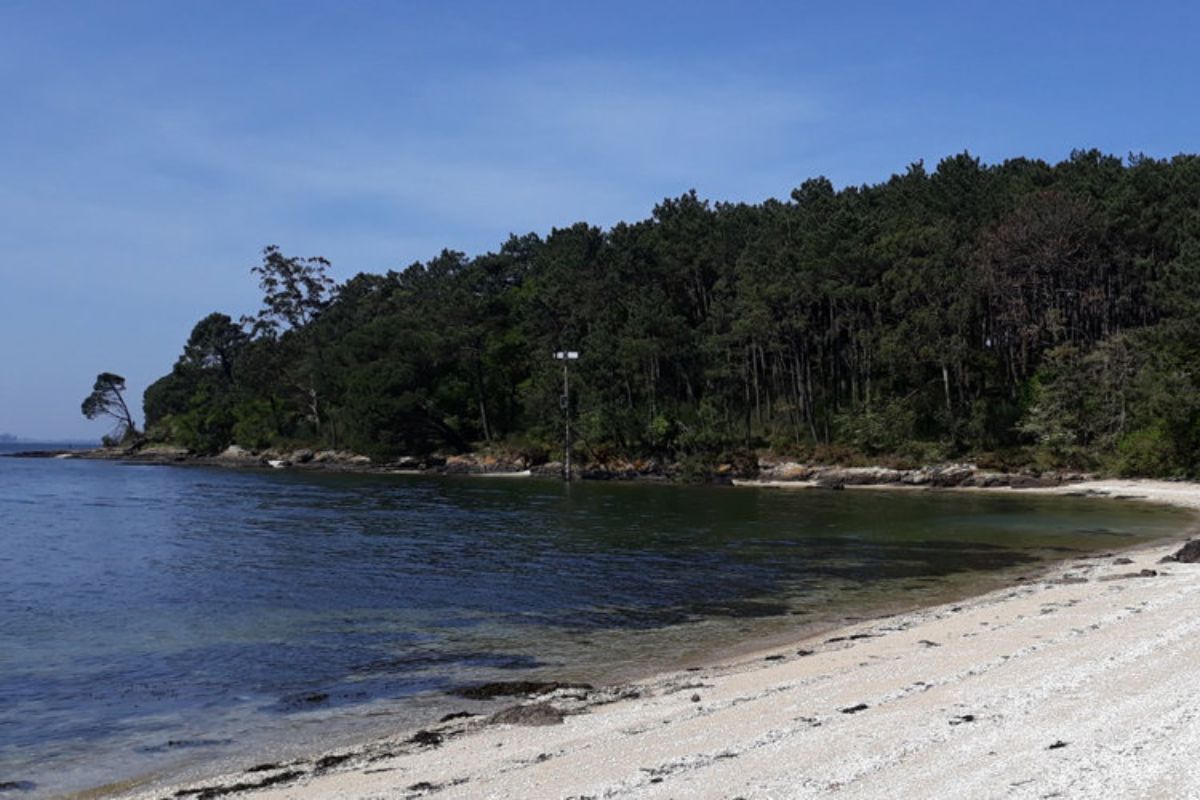 Otras calas y arenales