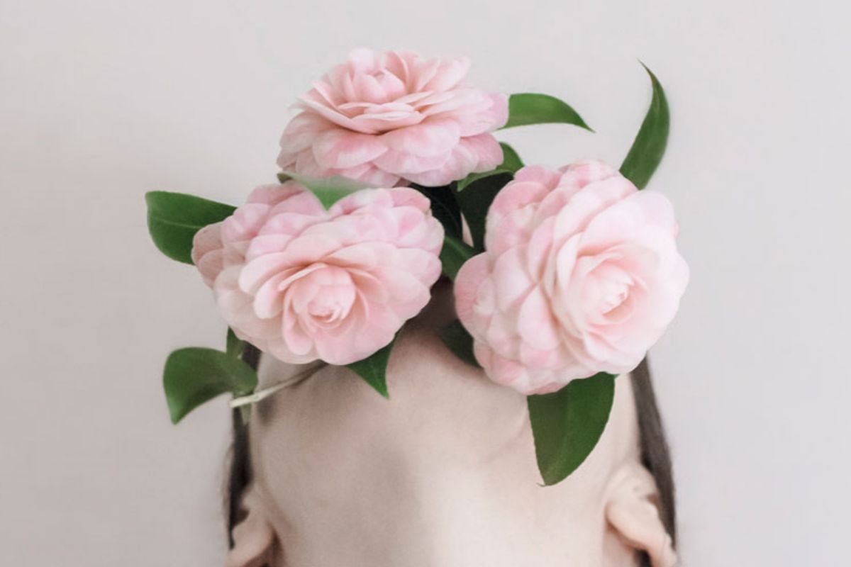 CONCURSO EXPOSICIÓN INTERNACIONAL DE LA CAMELIA