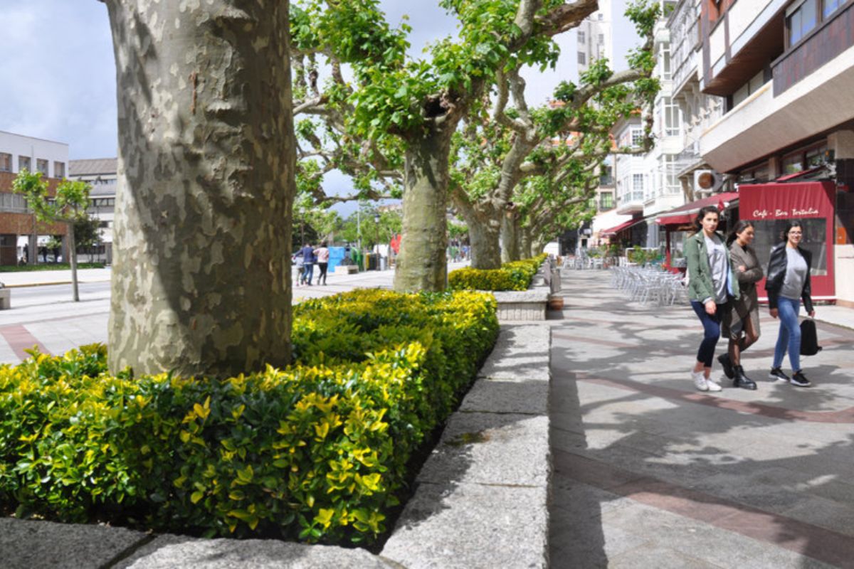 10. Alameda > 11. Baldosa/ V. Viqueira