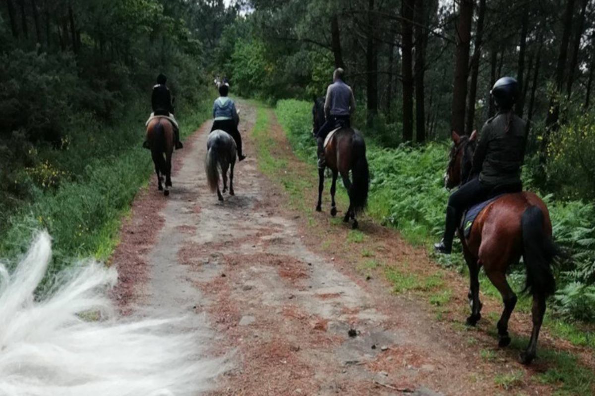 Rutas a caballo