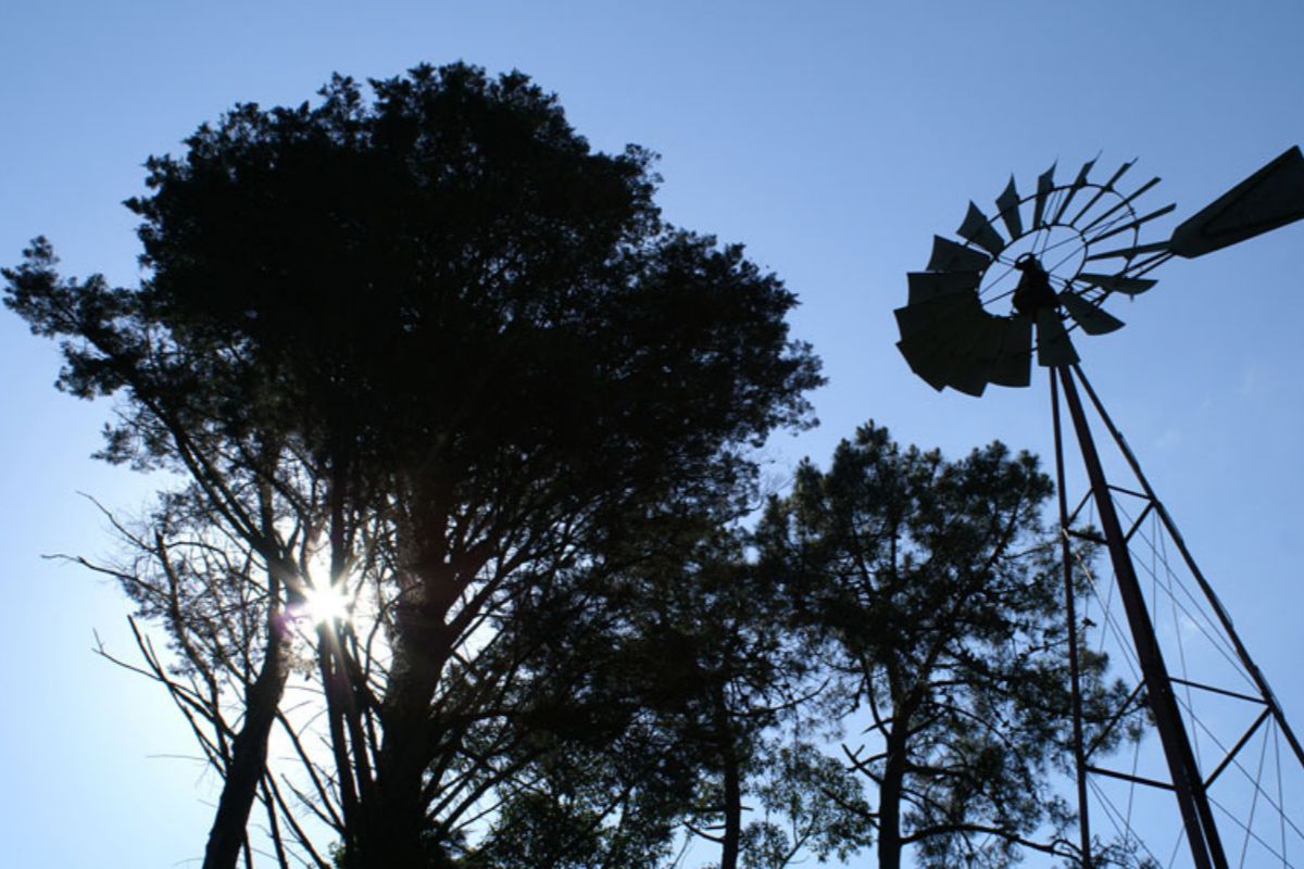 Jardín botánico «Enrique Valdés Bermejo»
