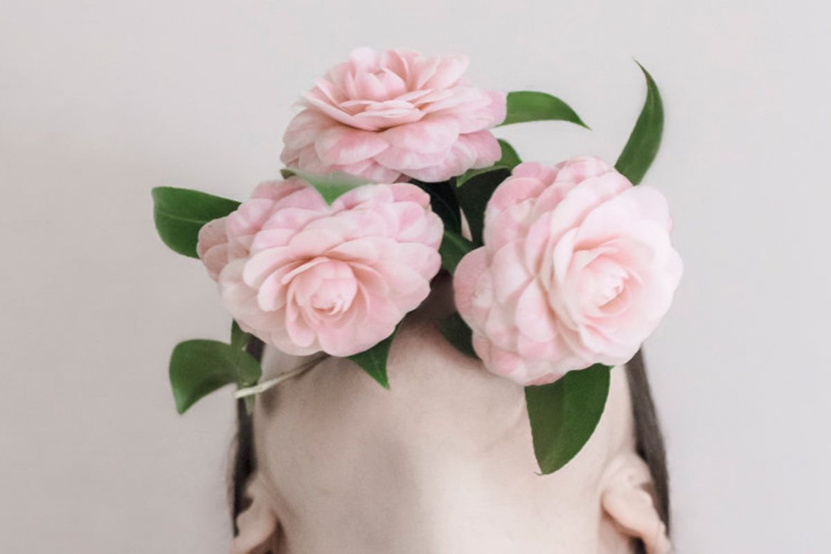Concurso exposición internacional de la Camelia