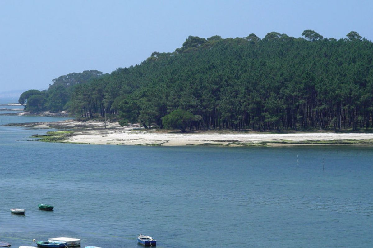 Isla de Cortegada