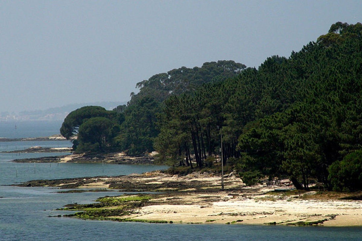 Isla de Cortegada