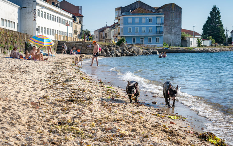 Playa de Castelete