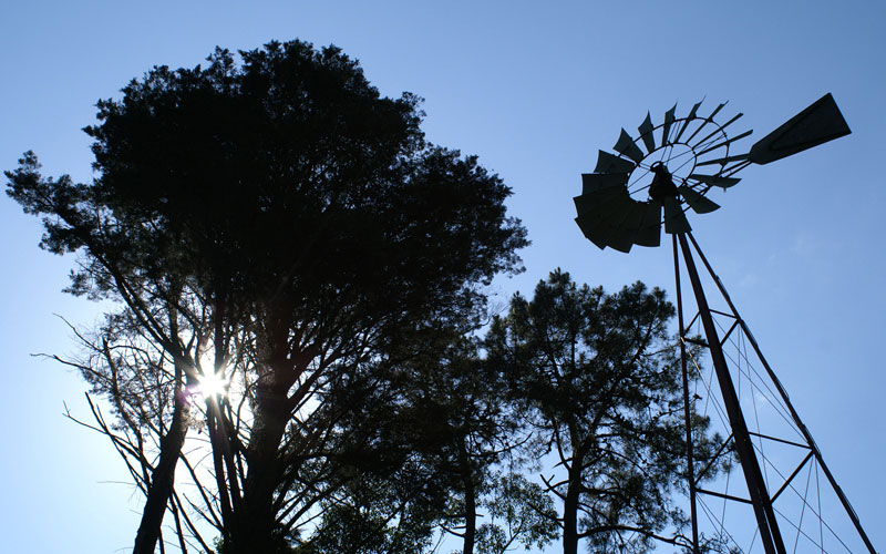 Visitar Vilagarcía, parques y jardines