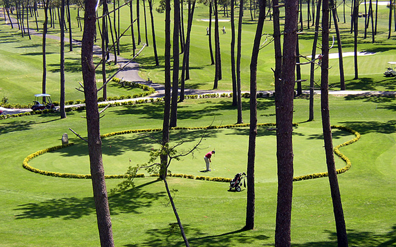Golf