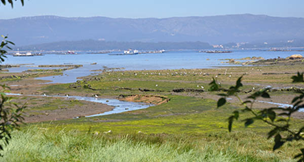 VILAXOÁN 05